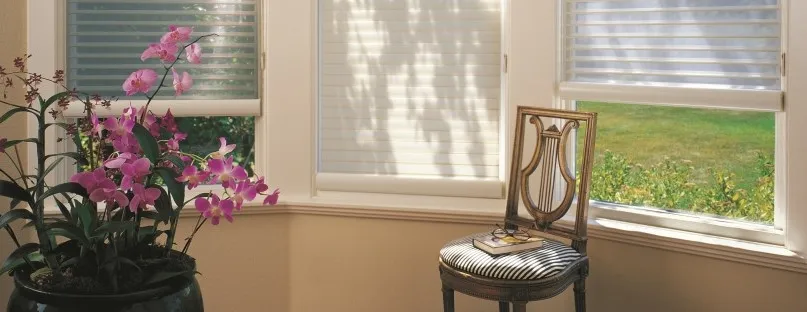 window treatments 