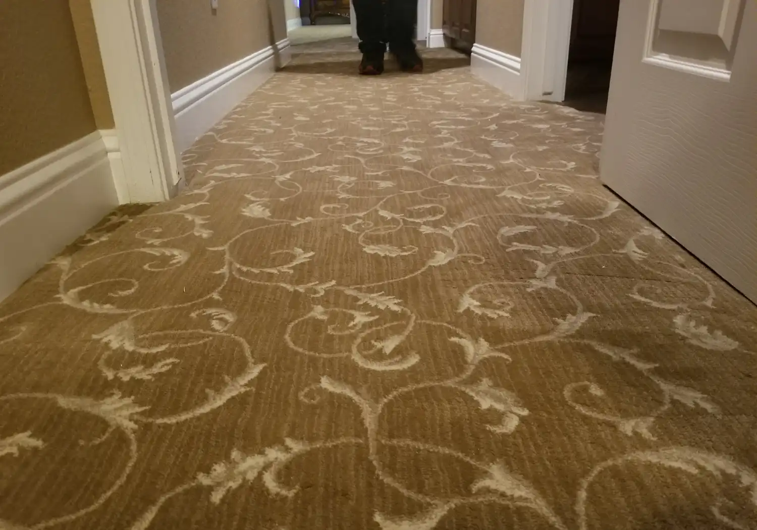 carpet Installations